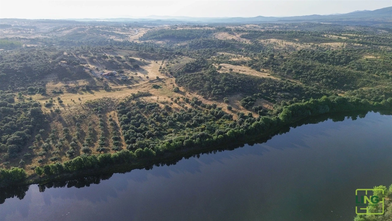 Terreno Agricola ou Rústico para Venda em Aranhas Foto 13