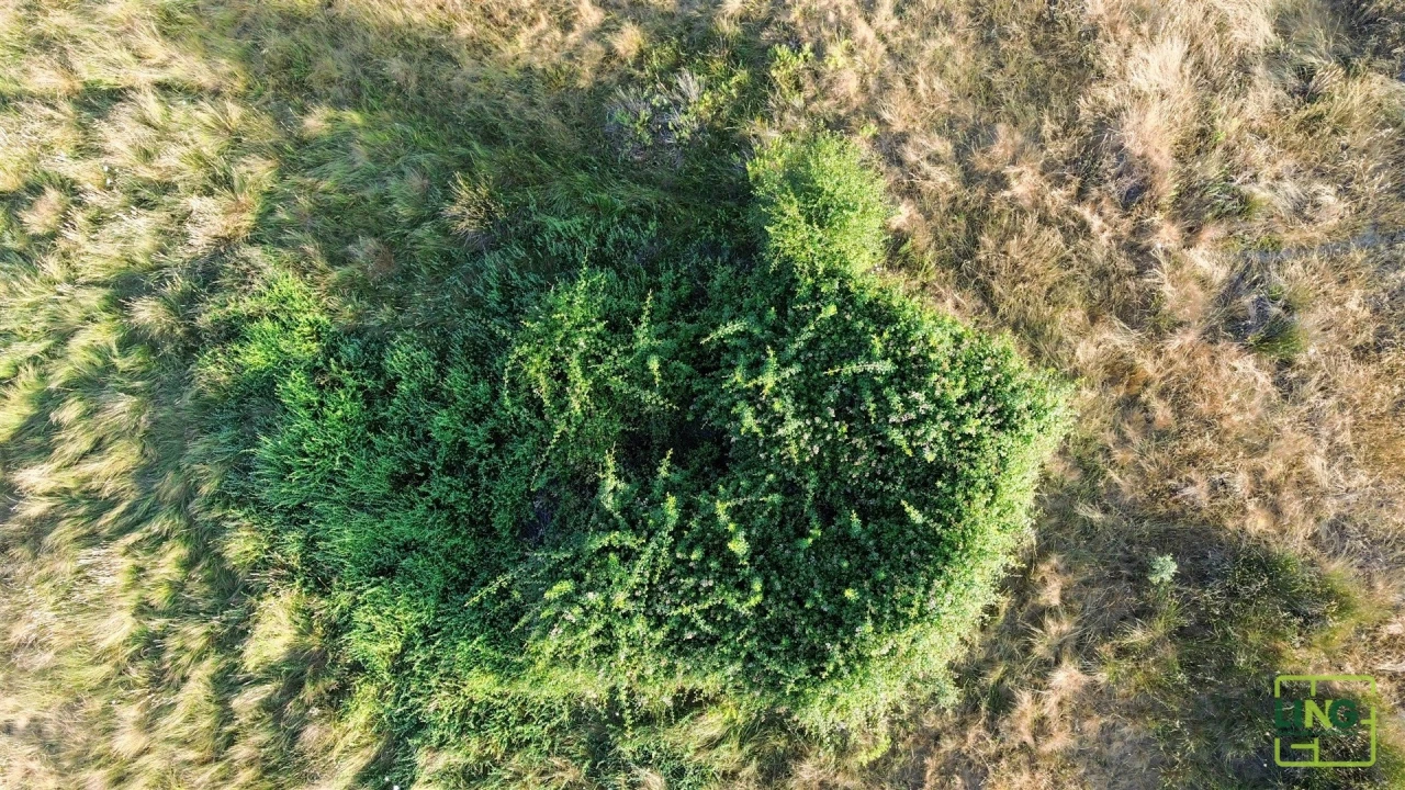 Terreno Agricola ou Rústico para Venda em Aranhas Foto 8