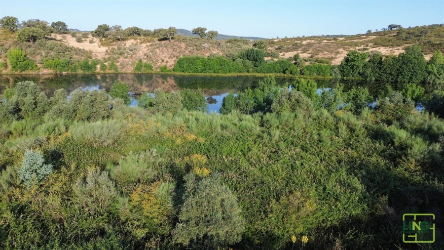 Terreno Agricola ou Rústico para Venda em Aranhas Foto 25