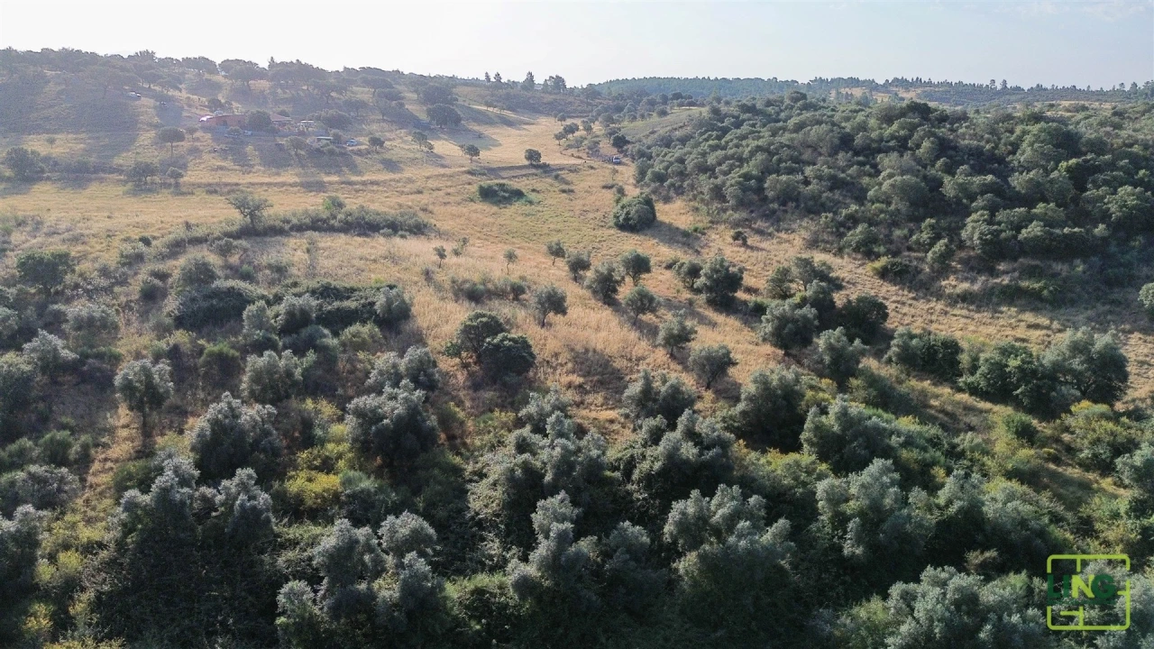 Terreno Agricola ou Rústico para Venda em Aranhas Foto 7