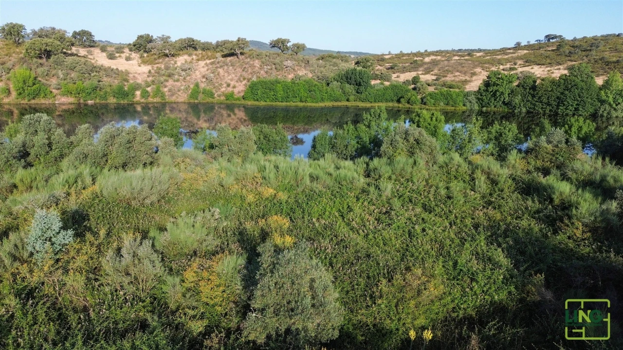 Terreno Agricola ou Rústico para Venda em Aranhas Foto 25