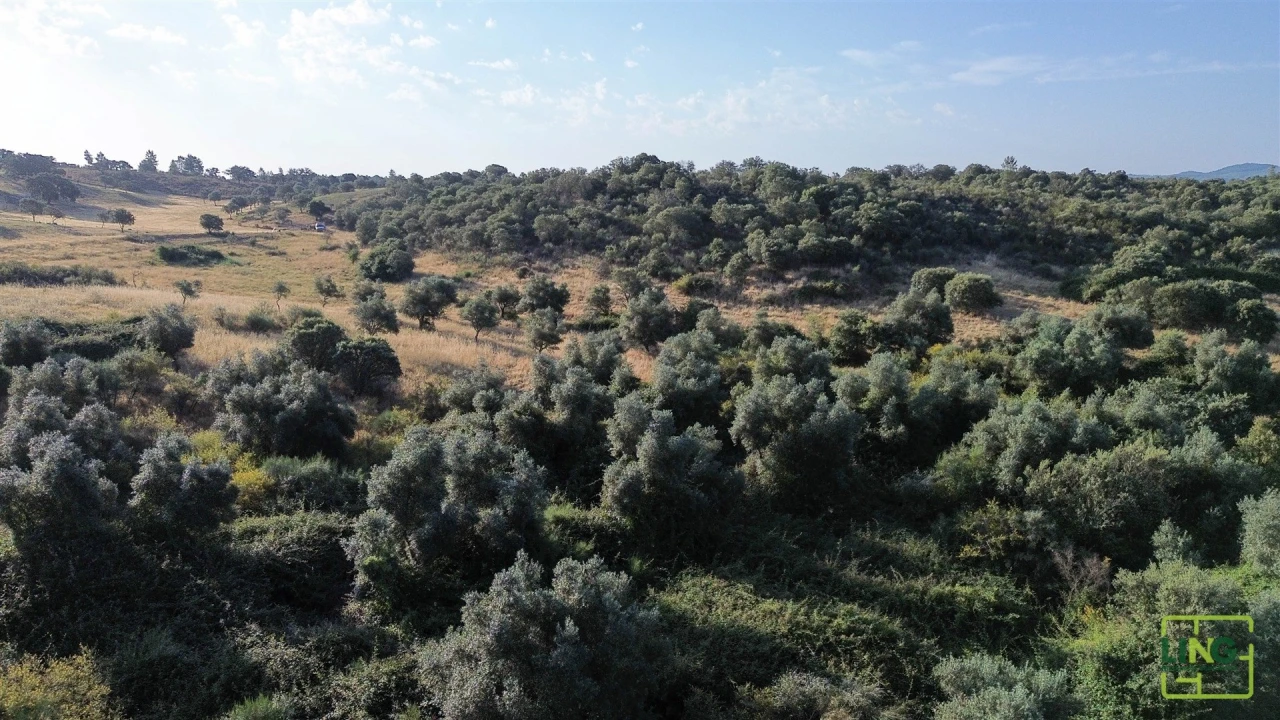Terreno Agricola ou Rústico para Venda em Aranhas Foto 22
