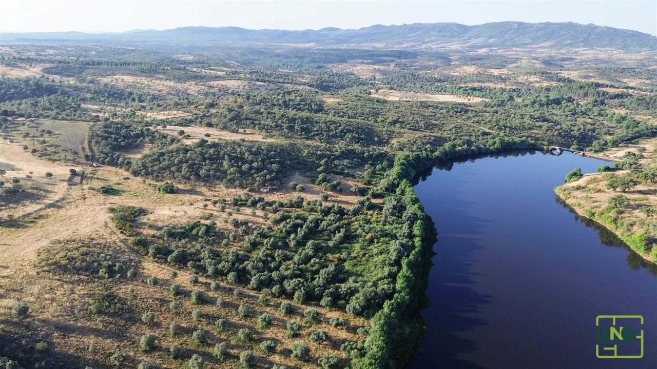 Terreno Agricola ou Rústico para Venda em Aranhas Foto 6