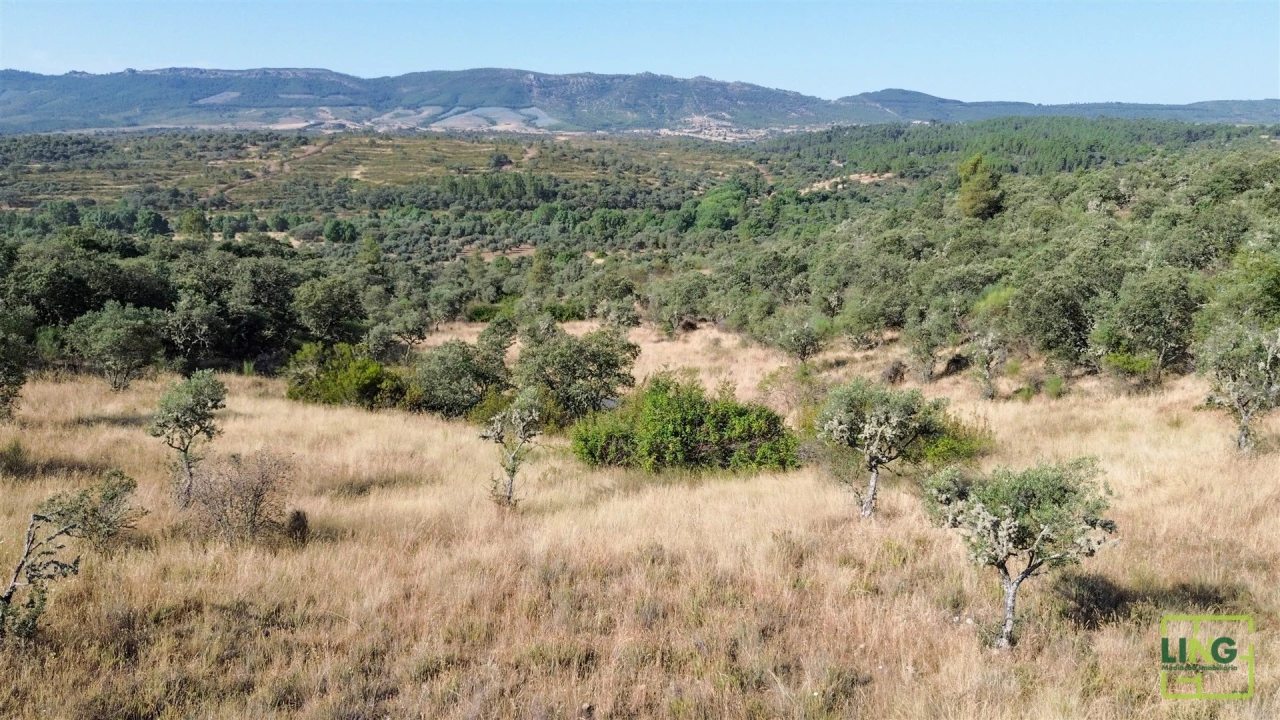 Terreno Agricola ou Rústico para Venda em Aranhas Foto 22