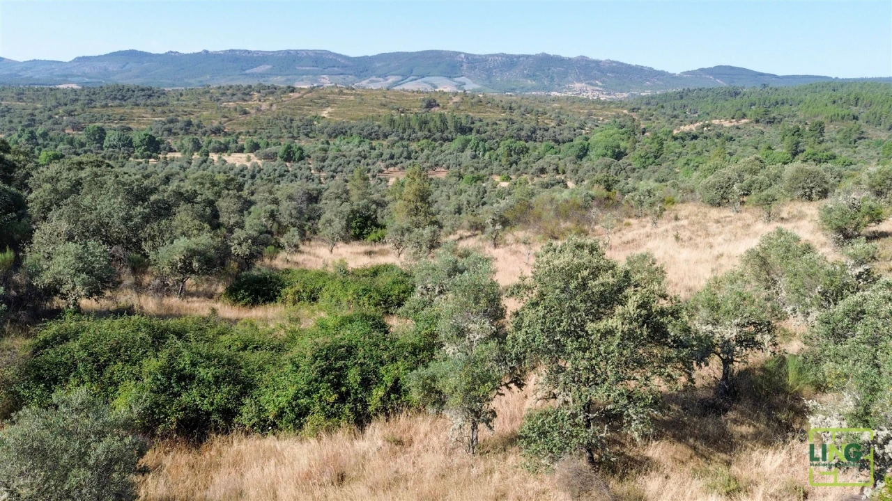Terreno Agricola ou Rústico para Venda em Aranhas Foto 23
