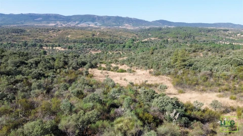 Terreno Agricola ou Rústico para Venda em Aranhas