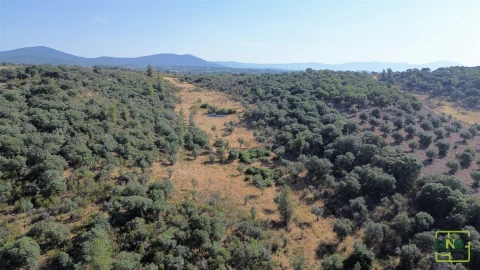 Terreno Agricola ou Rústico para Venda em Aranhas