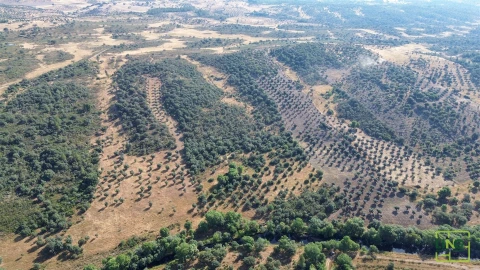 Terreno Agricola ou Rústico para Venda em Aranhas