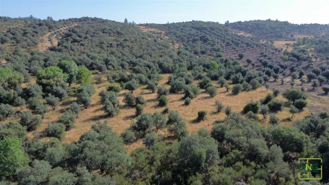 Terreno Agricola ou Rústico para Venda em Aranhas