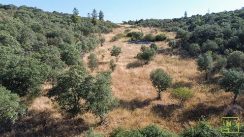 Terreno Agricola ou Rústico para Venda em Aranhas