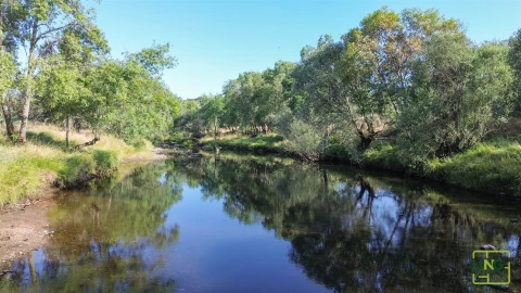 Terreno Agricola ou Rústico para Venda em Aranhas