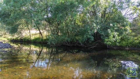 Terreno Agricola ou Rústico para Venda em Aranhas