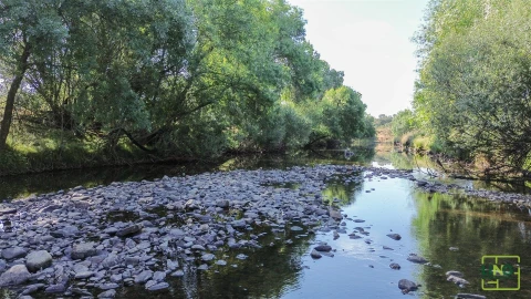 Terreno Agricola ou Rústico para Venda em Aranhas