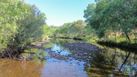 Terreno Agricola ou Rústico para Venda em Aranhas