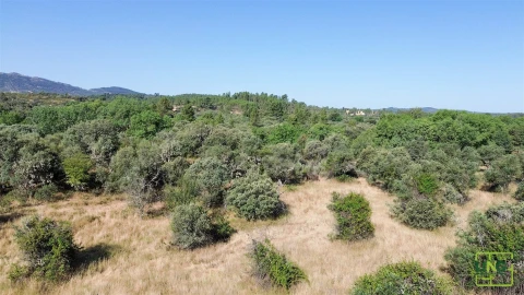 Terreno Agricola ou Rústico para Venda em Aranhas