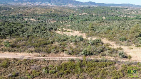 Terreno Agricola ou Rústico para Venda em Aranhas