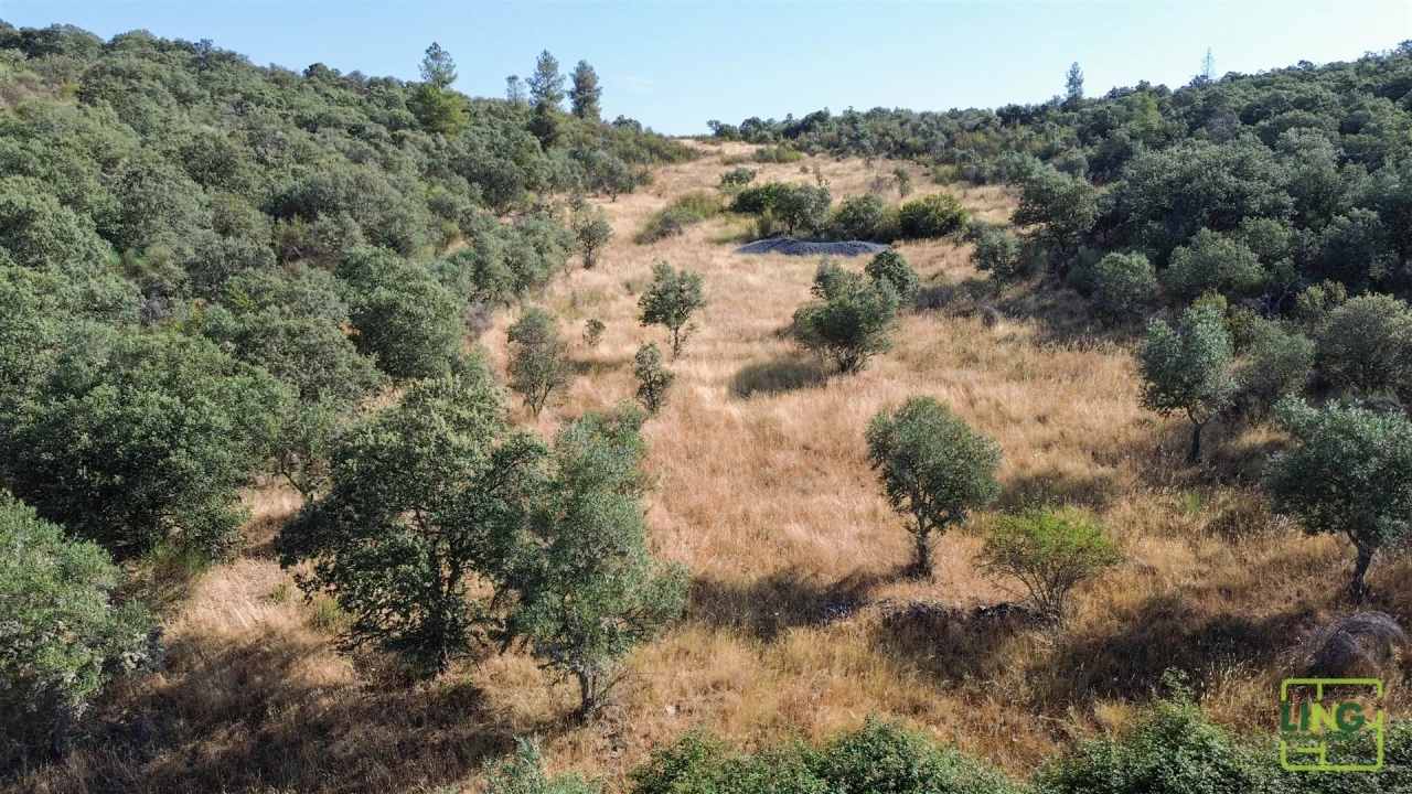 Terreno Agricola ou Rústico para Venda em Aranhas Foto 18