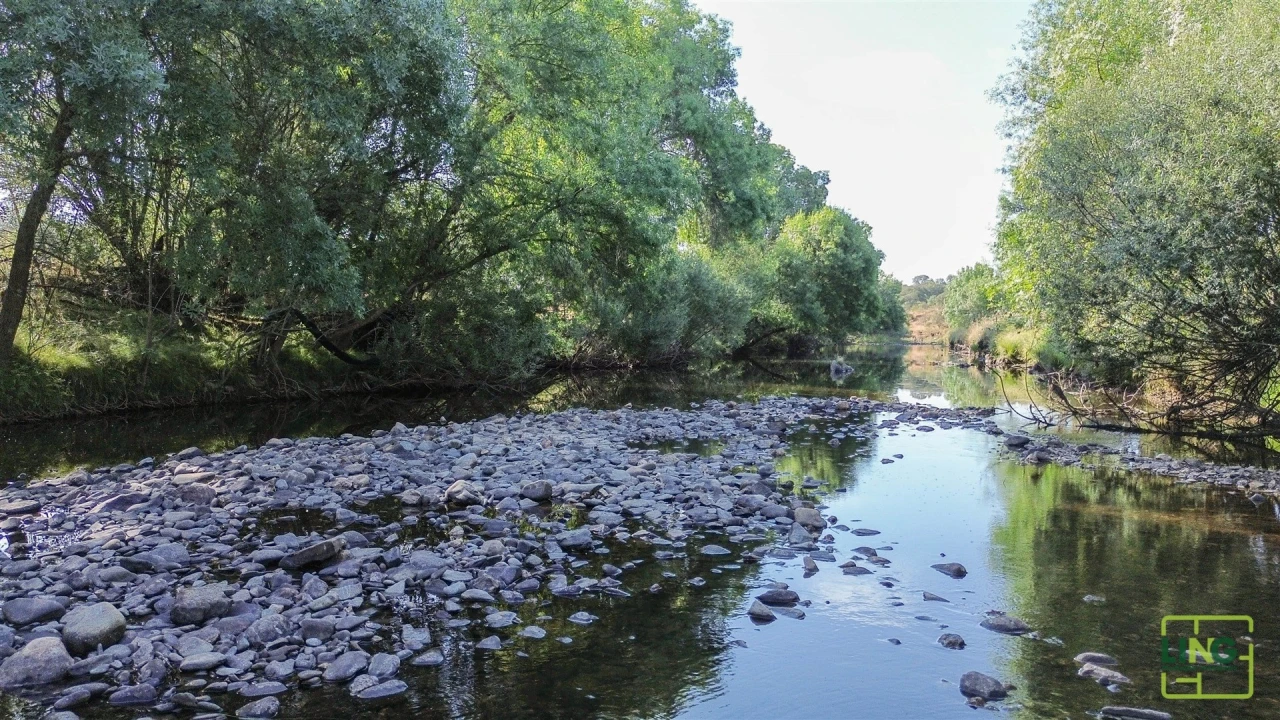 Terreno Agricola ou Rústico para Venda em Aranhas Foto 5