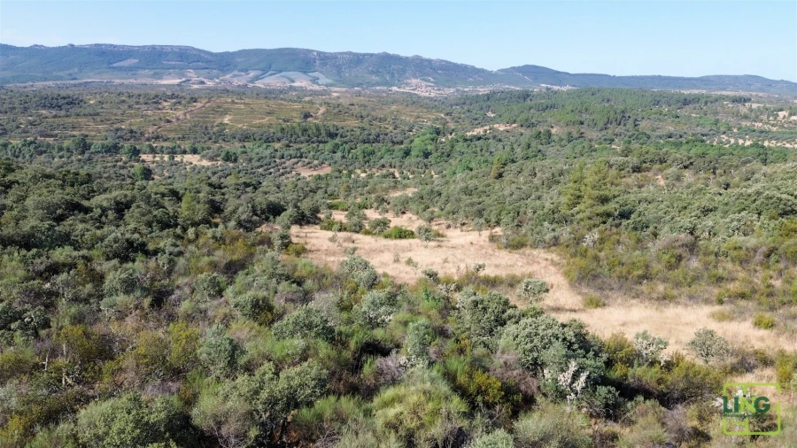 Terreno Agricola ou Rústico para Venda em Aranhas Foto 21