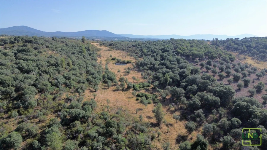 Terreno Agricola ou Rústico para Venda em Aranhas Foto 17