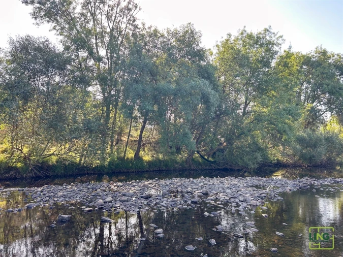 Terreno Agricola ou Rústico para Venda em Aranhas Foto 31