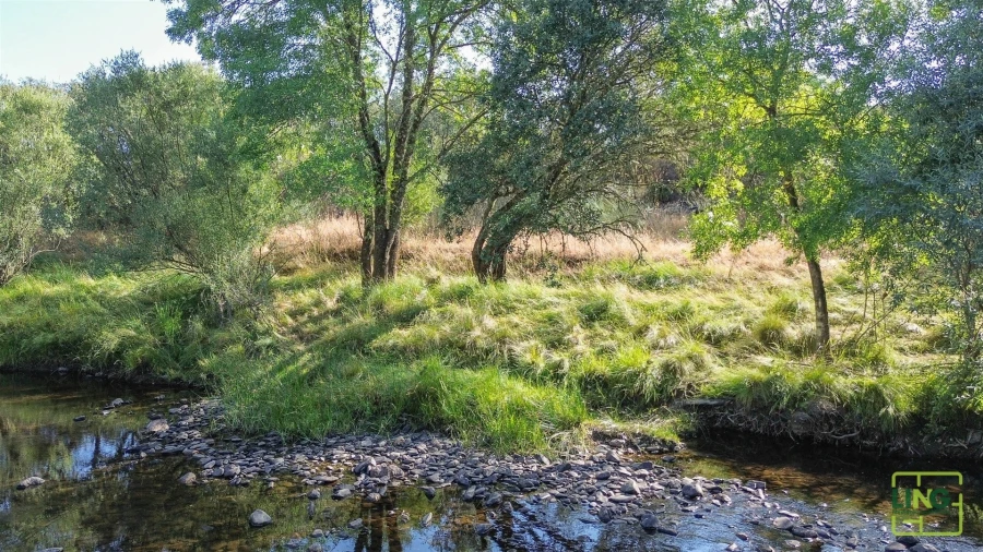 Terreno Agricola ou Rústico para Venda em Aranhas Foto 2