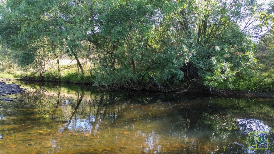 Terreno Agricola ou Rústico para Venda em Aranhas Foto 7