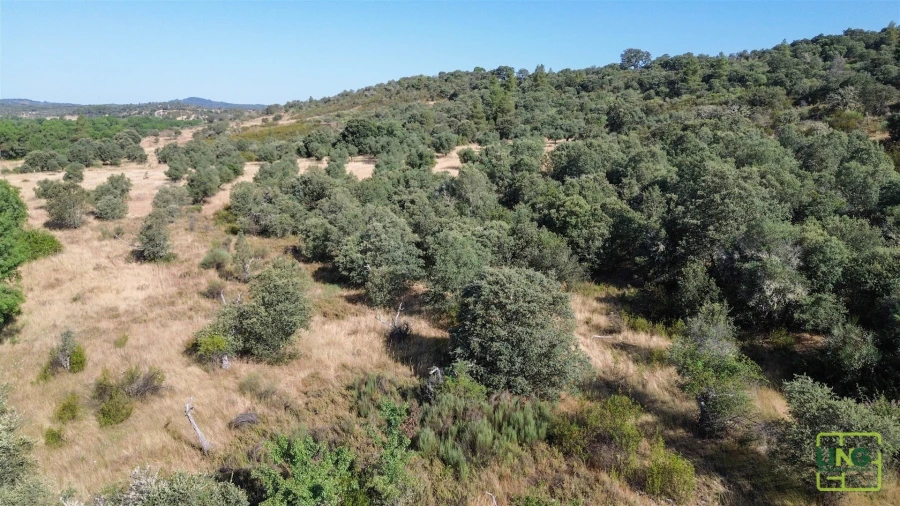 Terreno Agricola ou Rústico para Venda em Aranhas Foto 14