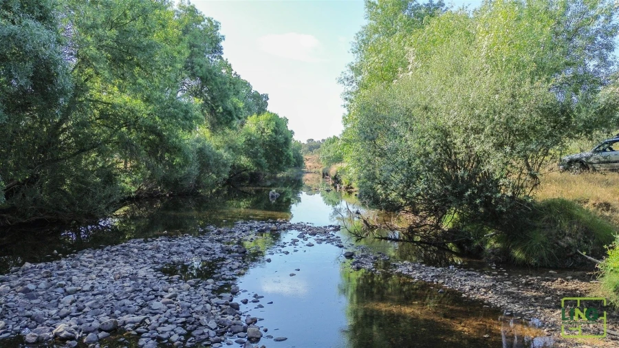 Terreno Agricola ou Rústico para Venda em Aranhas Foto 4