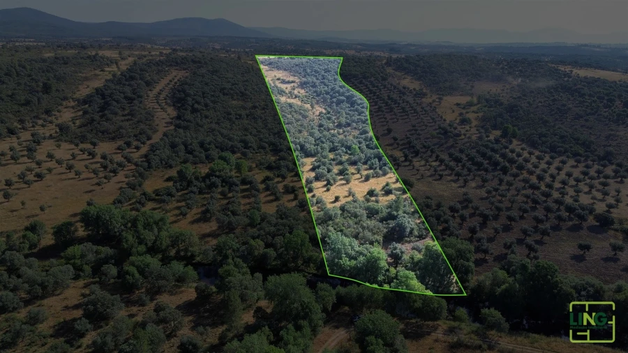 Terreno Agricola ou Rústico para Venda em Aranhas Planta 2