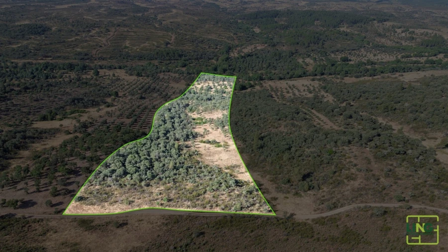 Terreno Agricola ou Rústico para Venda em Aranhas Planta 1