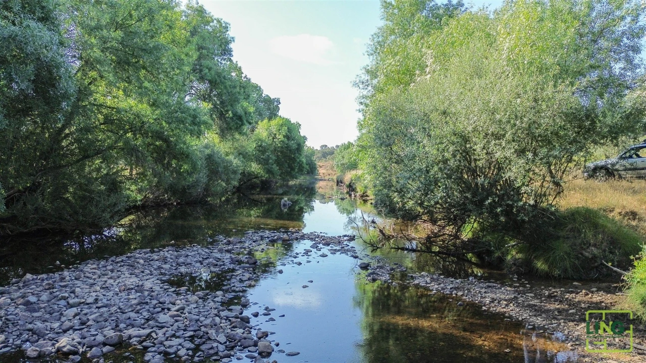 Terreno Agricola ou Rústico para Venda em Aranhas Foto 4