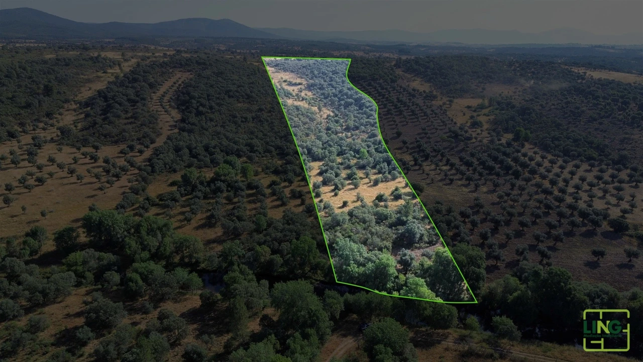Terreno Agricola ou Rústico para Venda em Aranhas Planta 2