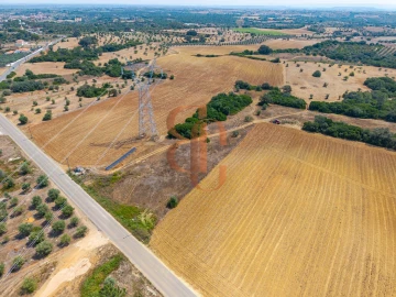 Terreno para Venda em Achete, Azoia de Baixo e Póvoa de Santarém