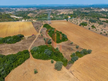 Terreno para Venda em Achete, Azoia de Baixo e Póvoa de Santarém