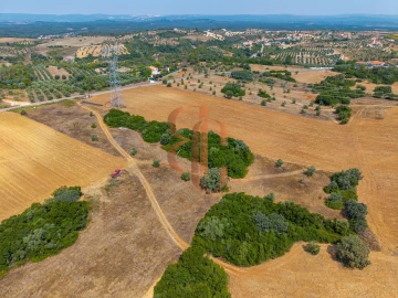Terreno para Venda em Achete, Azoia de Baixo e Póvoa de Santarém