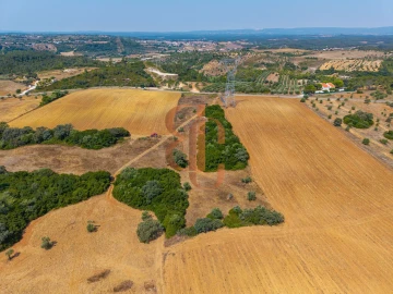 Terreno para Venda em Achete, Azoia de Baixo e Póvoa de Santarém
