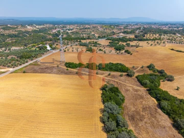 Terreno para Venda em Achete, Azoia de Baixo e Póvoa de Santarém