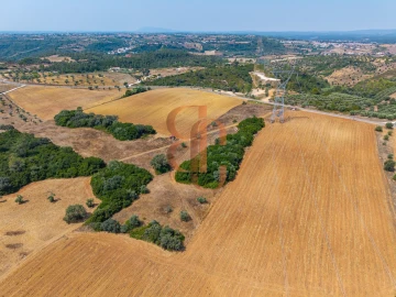 Terreno para Venda em Achete, Azoia de Baixo e Póvoa de Santarém
