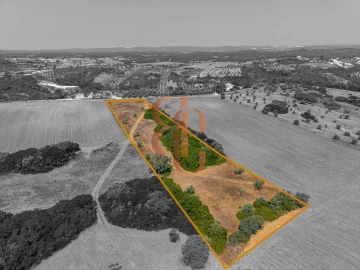 Terreno para Venda em Achete, Azoia de Baixo e Póvoa de Santarém