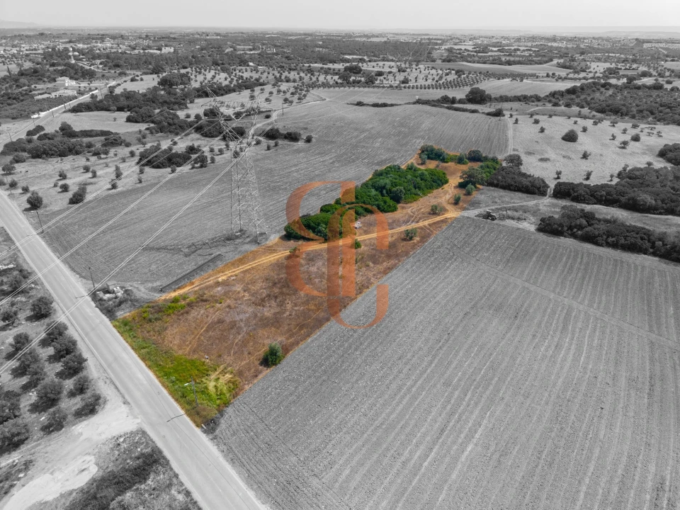 Terreno para Venda em Achete, Azoia de Baixo e Póvoa de Santarém Foto 1