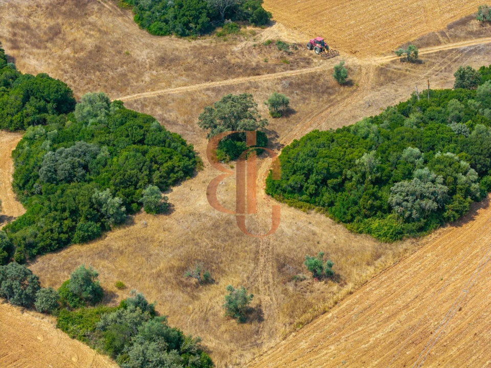 Terreno para Venda em Achete, Azoia de Baixo e Póvoa de Santarém Foto 8