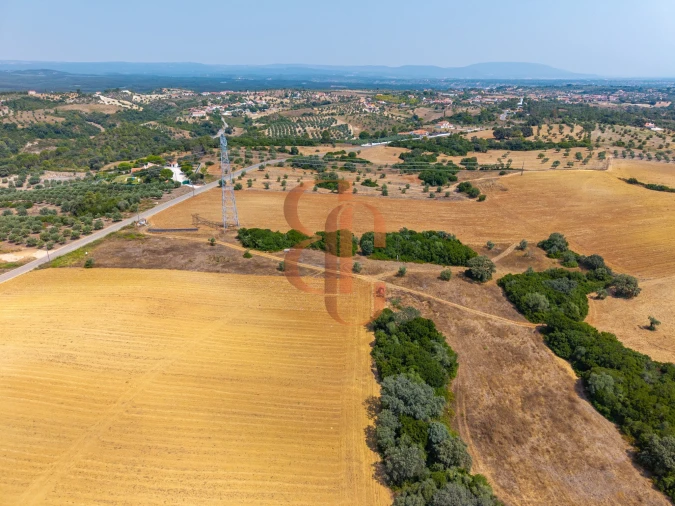 Terreno para Venda em Achete, Azoia de Baixo e Póvoa de Santarém Foto 17