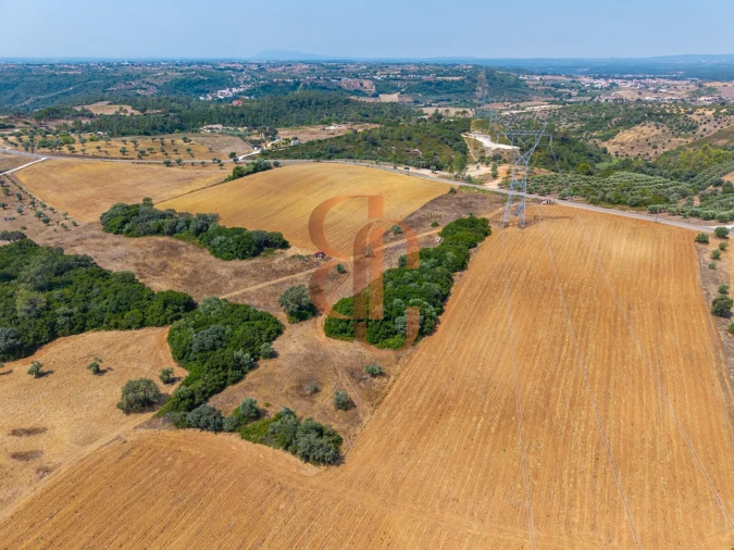 Terreno para Venda em Achete, Azoia de Baixo e Póvoa de Santarém Foto 10
