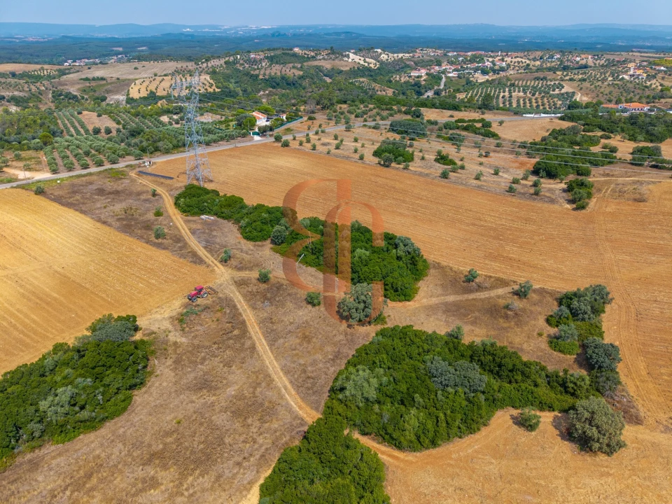 Terreno para Venda em Achete, Azoia de Baixo e Póvoa de Santarém Foto 16