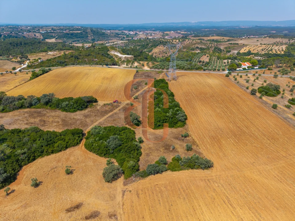 Terreno para Venda em Achete, Azoia de Baixo e Póvoa de Santarém Foto 12