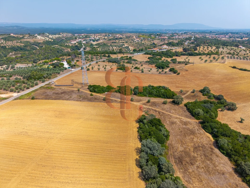 Terreno para Venda em Achete, Azoia de Baixo e Póvoa de Santarém Foto 17