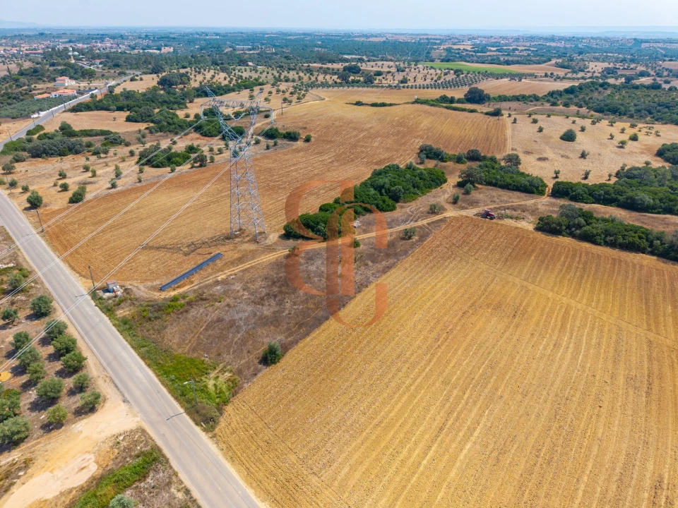 Terreno para Venda em Achete, Azoia de Baixo e Póvoa de Santarém Foto 2