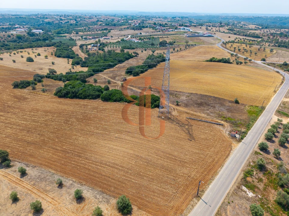 Terreno para Venda em Achete, Azoia de Baixo e Póvoa de Santarém Foto 6