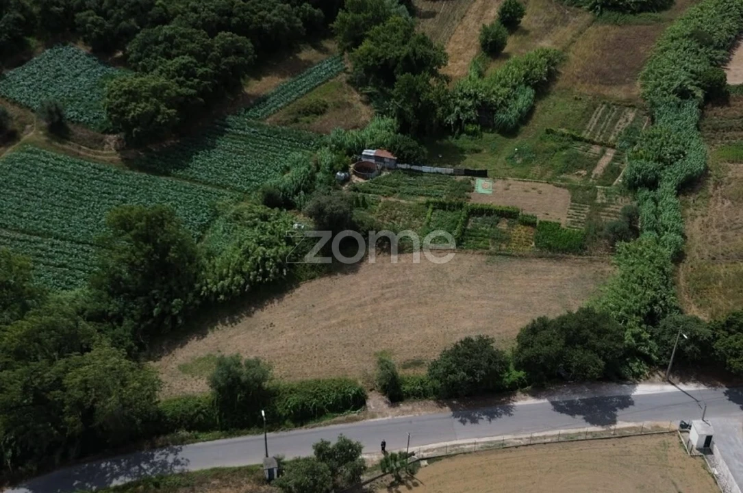 Terreno para Venda em Milharado Foto 3